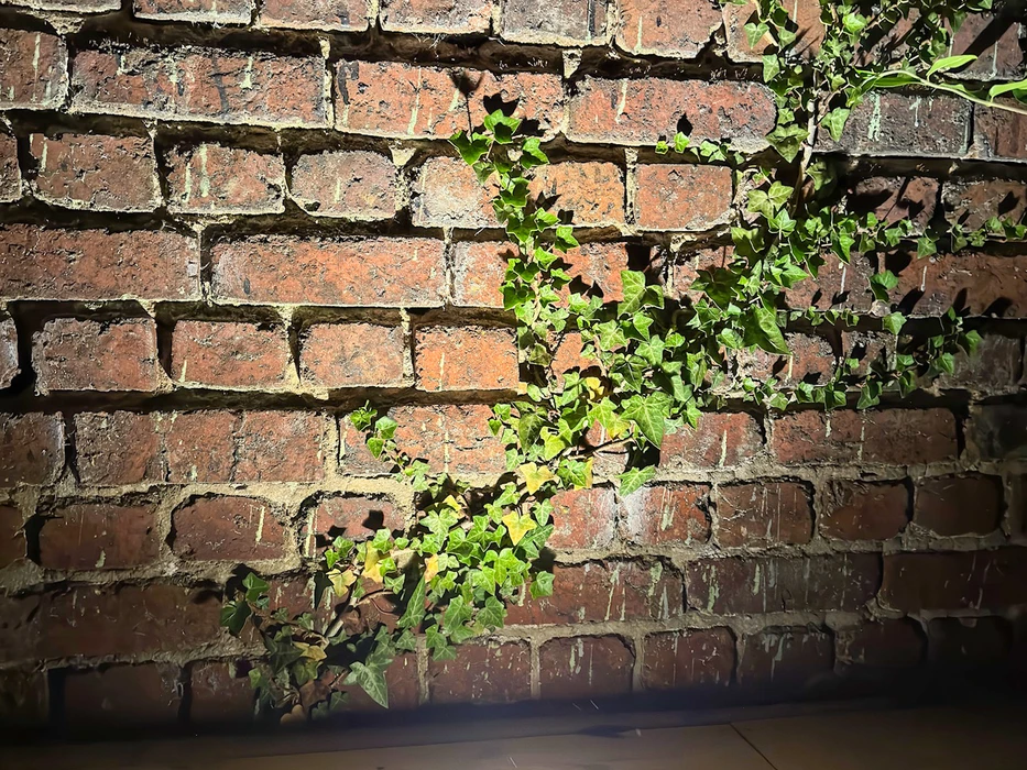 Aménagement extérieur nocturne avec piscine rectangulaire éclairée en bleu, entourée de margelles en composite anthracite