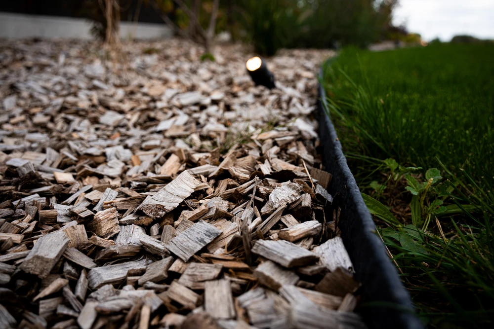 Scène extérieure nocturne d'un jardin paysager avec gazebo illuminé, palmiers et végétation tropicale