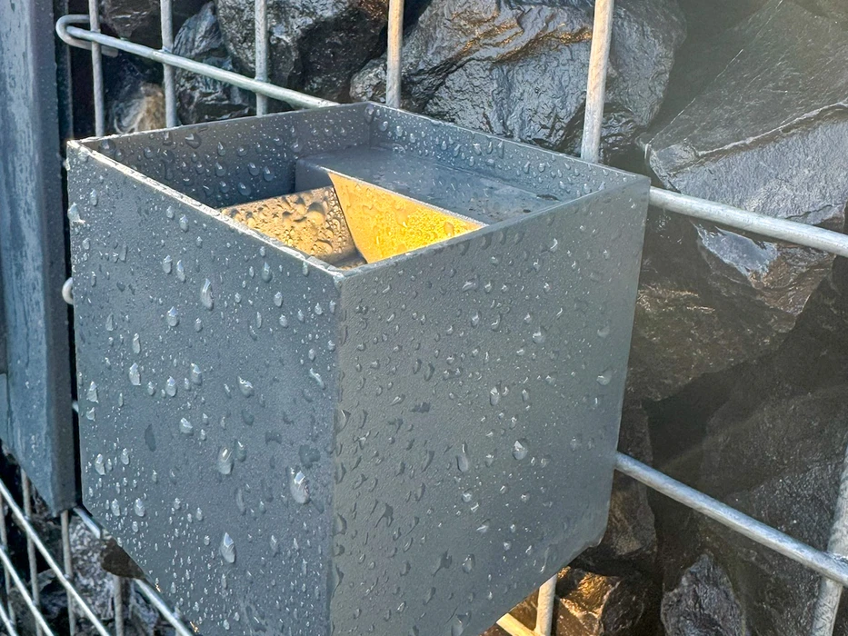 Scène extérieure nocturne hivernale dans un parc illuminé pour les fêtes