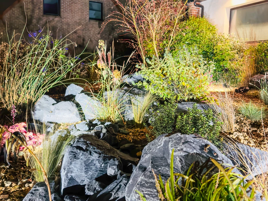 Allée piétonne nocturne dans un espace paysager contemporain avec arbres à feuillage vert illuminés par éclairage architectural