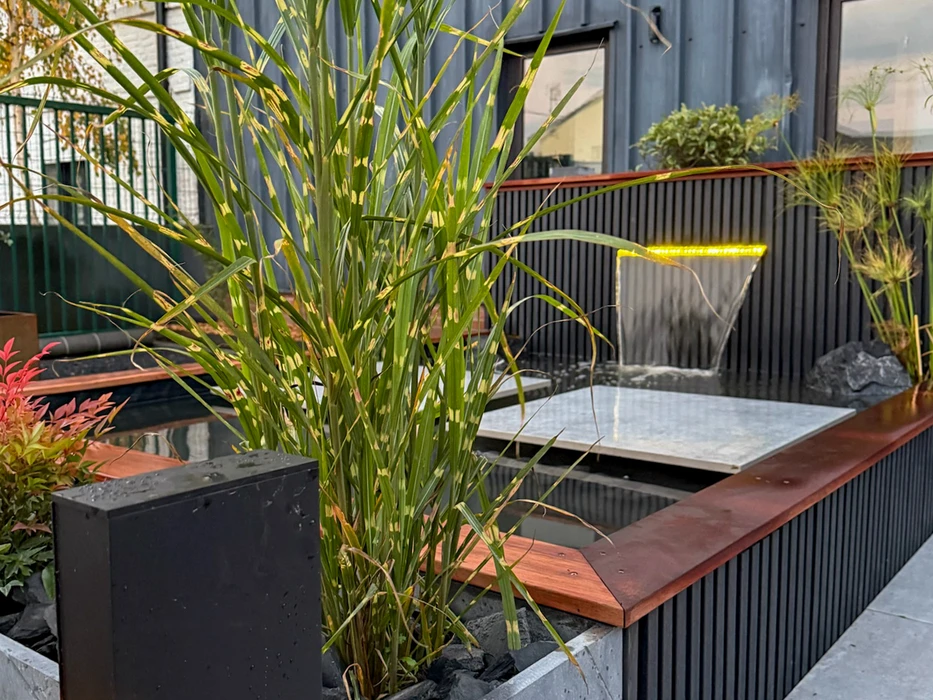 Bassin extérieur ornamental avec carpes koï multicolores nageant dans l'eau claire