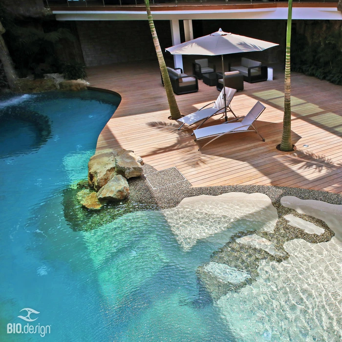 Bassin d'ornement extérieur circulaire en béton avec poissons koï orange nageant dans l'eau claire