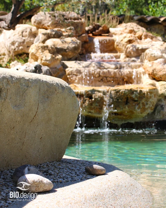 Bassin extérieur de jardin avec carpes koï multicolores nageant dans eau bleue claire