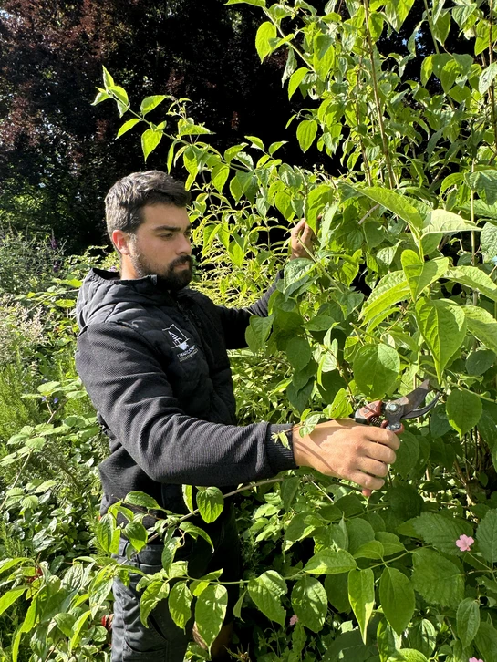Famille de quatre personnes souriante en extérieur : parents portant leurs enfants sur le dos dans un jardin ensoleillé
