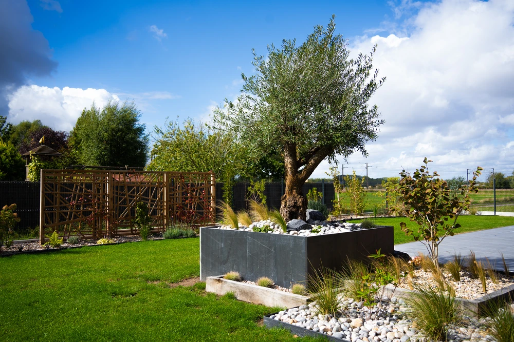 Jardin aquatique extérieur avec bassin aux eaux turquoise, bordé de rochers naturels et végétation luxuriante