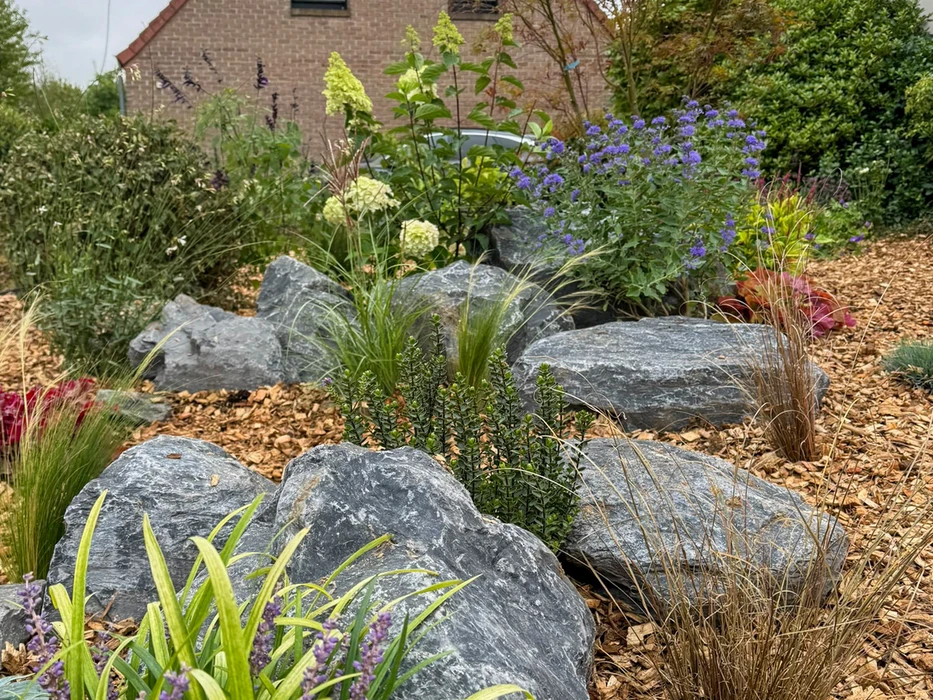 Jardin résidentiel extérieur avec aménagement paysager professionnel