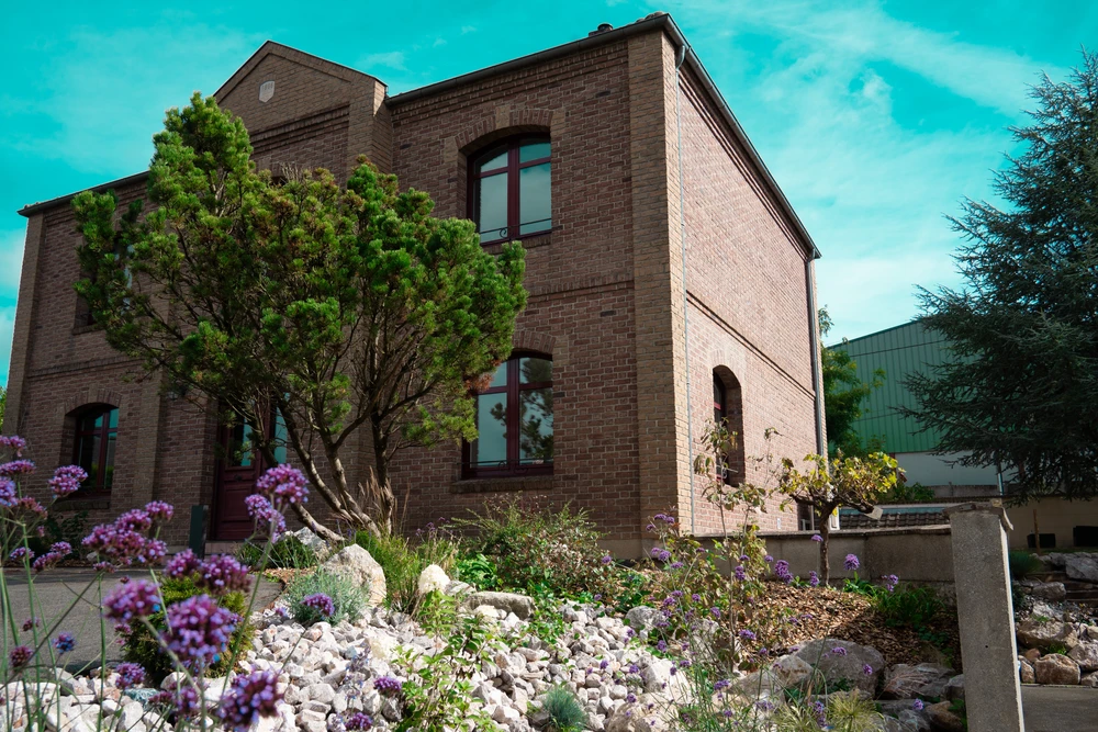 Jardin paysager avec bassin d'ornement et cascade artificielle